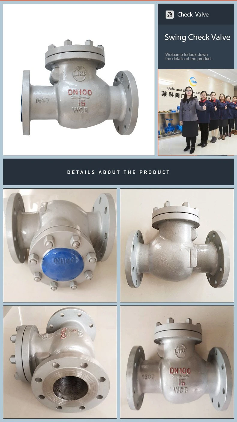 Fitting Cast Iron 2 Inch Pn16 Pressure Ball Float Double Flanged Flapper Type Swing for Water Supply Check Valve