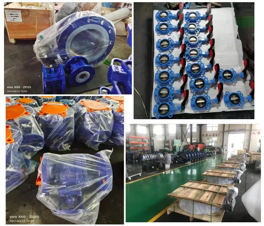Top Sale Wafer Single Disc Swing Check Valve with Wide Application